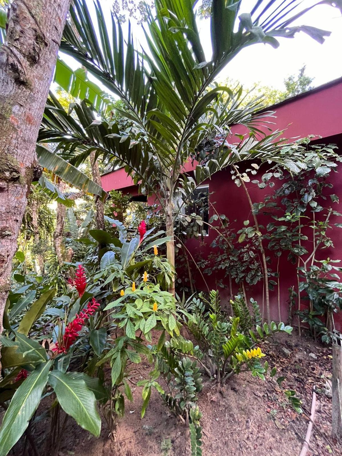 Jardim Botanico Casa Rossa Bungalows & Apartments Morro de São Paulo Dış mekan fotoğraf