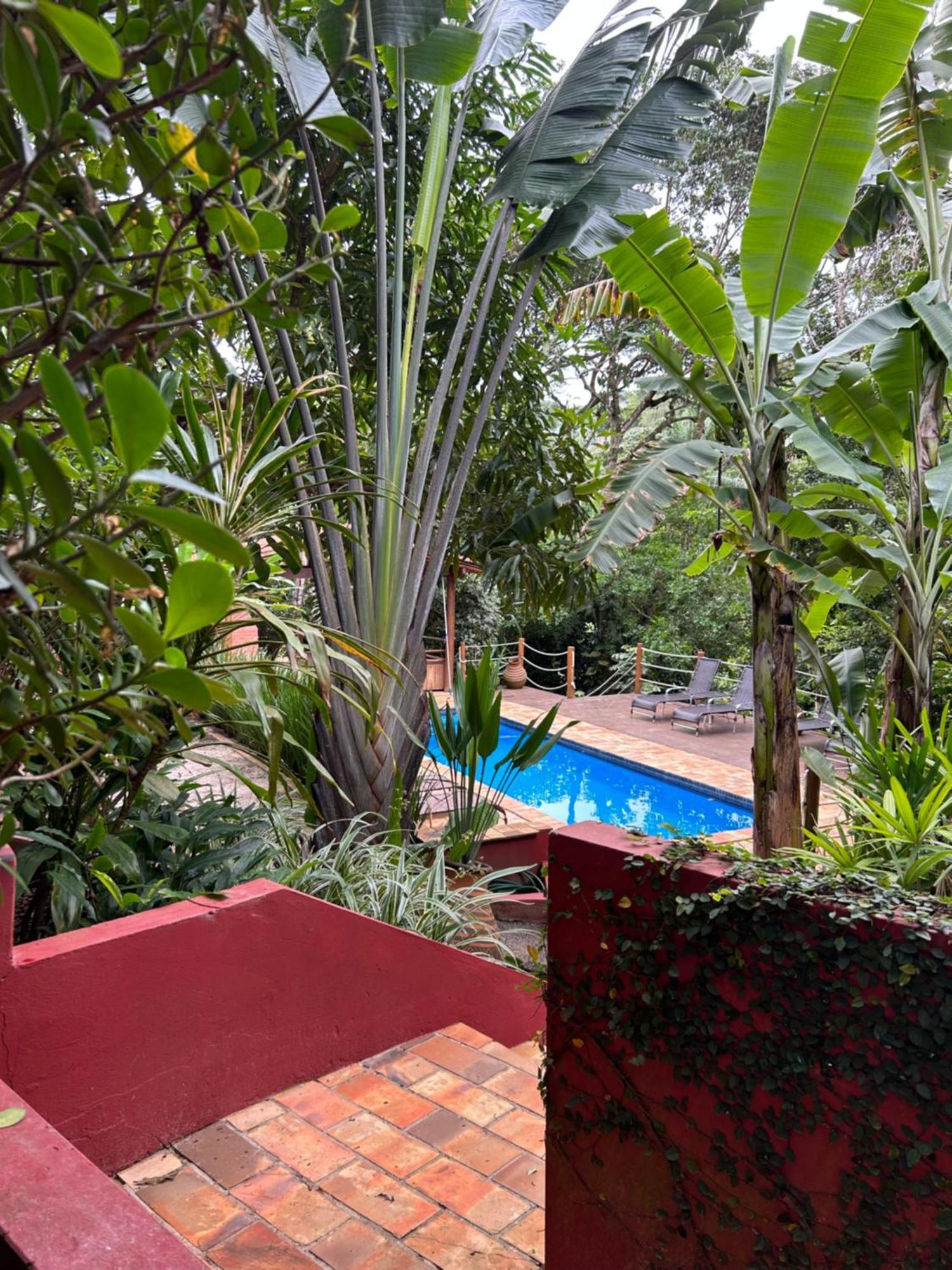 Jardim Botanico Casa Rossa Bungalows & Apartments Morro de São Paulo Dış mekan fotoğraf