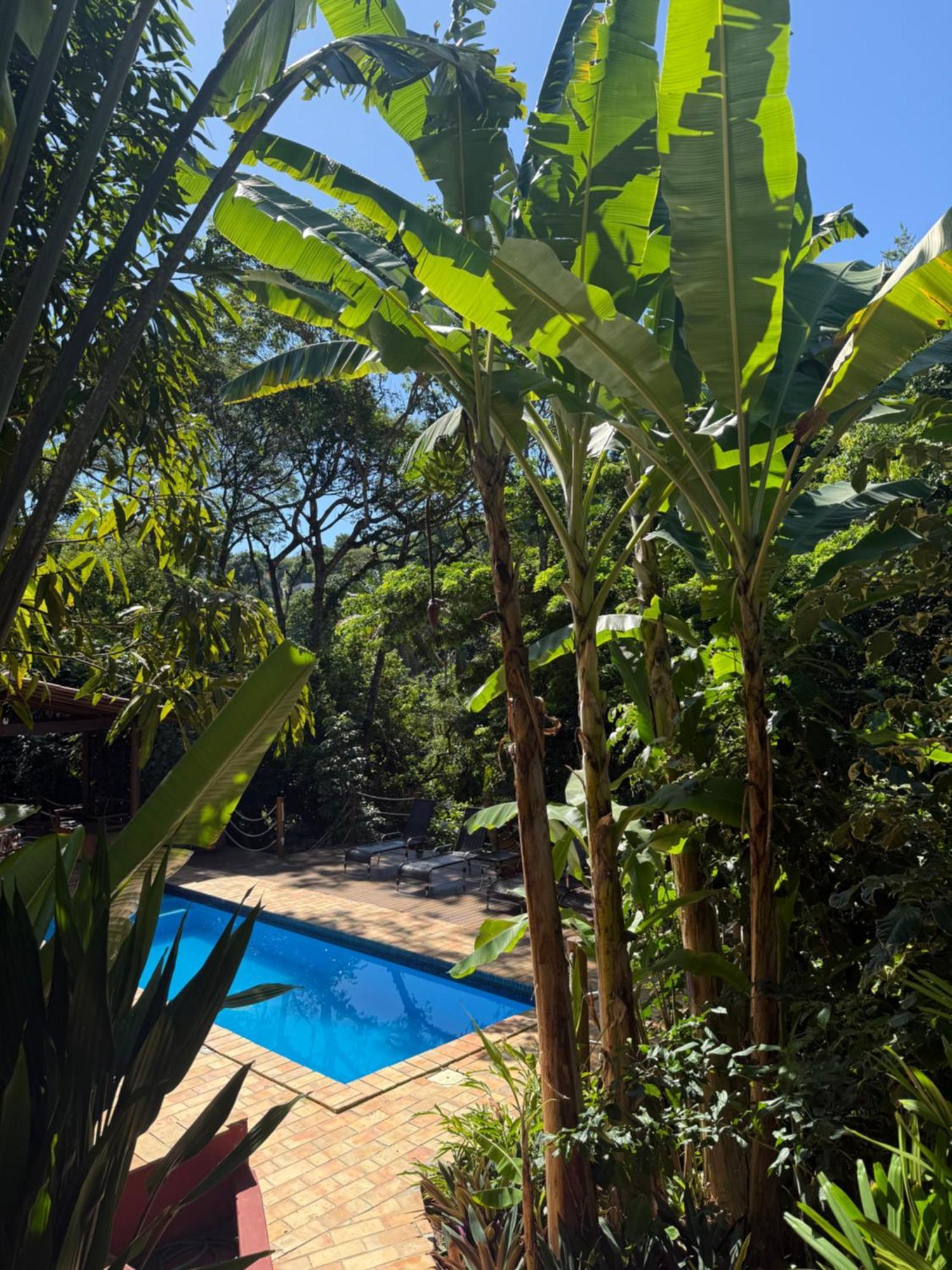 Jardim Botanico Casa Rossa Bungalows & Apartments Morro de São Paulo Dış mekan fotoğraf